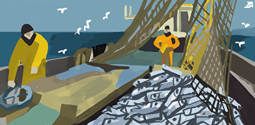 How To Make A Niche Analysis With Our Crawling Tool